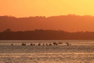 Byron Bay: cruzeiro panorâmico ao pôr do sol no rio