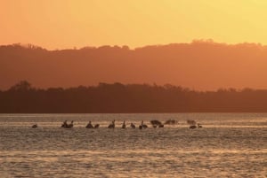 Byron Bay: Scenic Sunset River Cruise