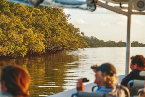 Byron Bay: Scenic Sunset River Cruise