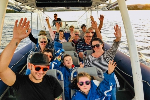 Byron Bay: Scenic Sunset River Cruise