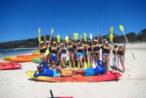Byron Bayn Bay: Sea Kayak Tour with Dolphins and Turtles (Merikajakki retki delfiinien ja kilpikonnien kanssa)