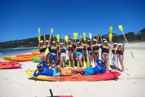 Byron Bay: Sea Kayak Tour with Dolphins and Turtles