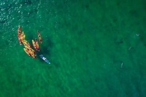 Byron Bay: Sea Kayak Tour