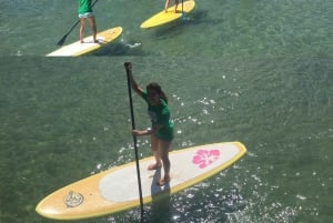 Byron Bay: stand-up paddleboard-leksjon + transport