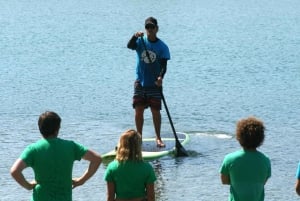 Byron Bay: stand-up paddleboard-leksjon + transport