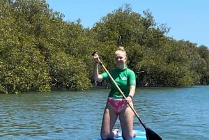 Byron Bay: stand-up paddleboard-leksjon + transport