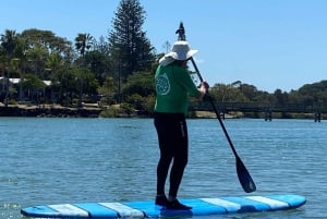 Byron Bay: stand-up paddleboard-leksjon + transport