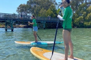Byron Bay: stand-up paddleboard-leksjon + transport