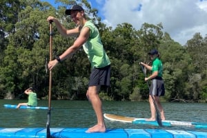 Byron Bay: stand-up paddleboard-leksjon + transport