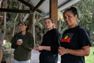 Visite des aborigènes du Cap Byron