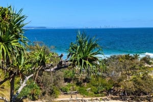 Fra Brisbane: Dagstur til Byron Bay, Bangalow og Gold Coast