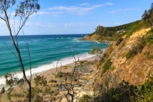 De Brisbane: Passeio de um dia por Byron Bay, Bangalow e Gold Coast
