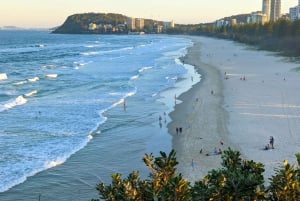 Ab Brisbane: Byron Bay, Bangalow und Gold Coast Tagestour