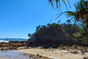 Au départ de Brisbane : excursion d'une journée à Byron Bay, Bangalow et la Gold Coast