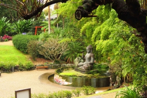 From Byron Bay: Half-Day Trip to Crystal Castle