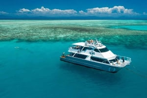 A partir de Sydney: Excursão de 16 dias pelo melhor da costa leste da Austrália
