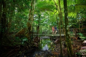 A partir de Sydney: Excursão de 16 dias pelo melhor da costa leste da Austrália