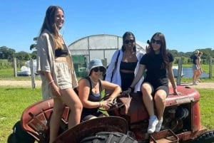 Gold Coast: Byron Bay Day Trip with Lighthouse & The Farm