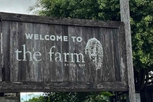 Gold Coast: Byron Bay Day Trip with Lighthouse & The Farm