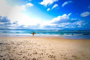 Guldkusten: Chill Out på Byron Bay Busstransfer