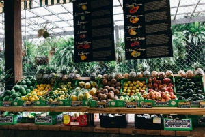 Gold Coast: Tropical Fruit World -koko maatilakierros