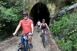 Guided Evening Glow Worm Experience - Byron Bay