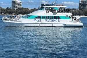 Main Beach: Broadwater Discovery Lunch Cruise