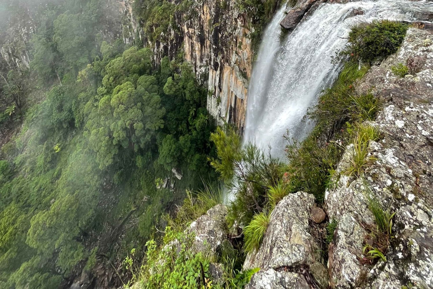 Minyon Waterfall Rainforest Tour