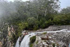 Regnskogstur vid vattenfallet Minyon