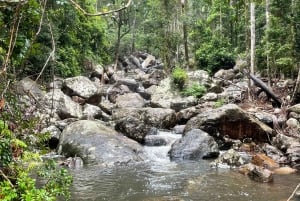 Regnskogstur vid vattenfallet Minyon
