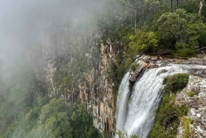 Wycieczka do lasu deszczowego Minyon Waterfall