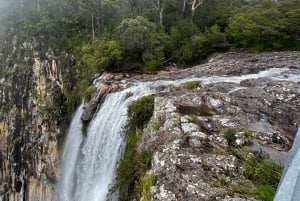 Minyon Waterfall Rainforest Tour