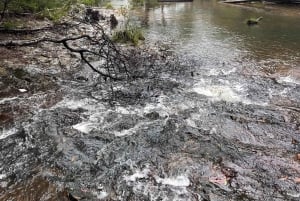 Minyon Waterfall Rainforest Tour