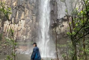 Minyon Waterfall Rainforest Tour