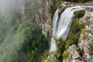 Minyon Waterfall Rainforest Tour