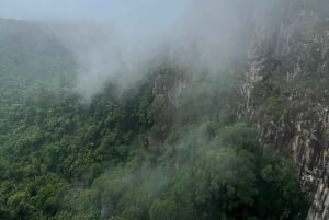 Minyon Waterfall Rainforest Tour