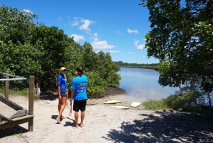 Byron Bay privado: excursão de 2 horas em Stand Up Paddle Board pela natureza