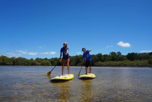 Privé Byron Bay: 2 uur durende Stand Up Paddle Board natuurtour