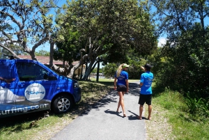 Privat Byron Bay: 2-timers Stand Up Paddle Board Nature Tour