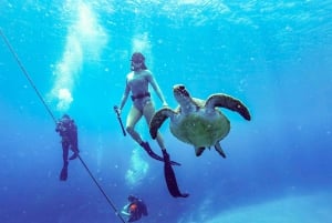 Mergulho com snorkel em Byron Bay