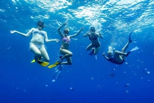 Mergulho com snorkel em Byron Bay