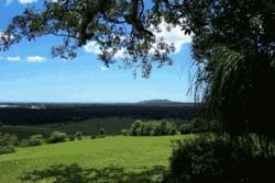 NSW North Coast Region Overview