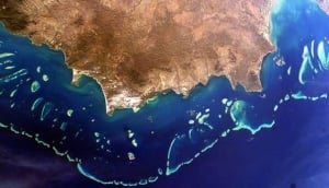 Buda-Dji at Stoney Creek Falls