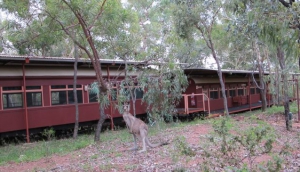 The Great Barrier Reef