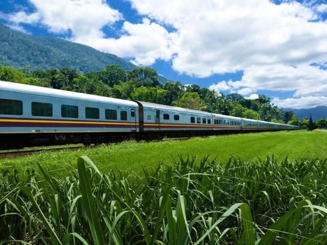 Travelling through Canefields