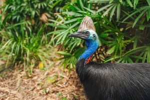 14-Day Sydney to Cairns, Fraser, Whitsundays Comfort Tour