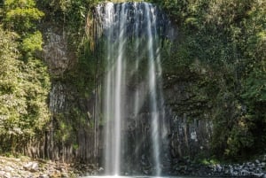 2-Day Atherton Tablelands, Mossman Gorge and Daintree Tour