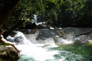 2-Day Atherton Tablelands, Mossman Gorge and Daintree Tour