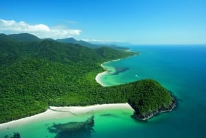 2-Day Atherton Tablelands, Mossman Gorge and Daintree Tour