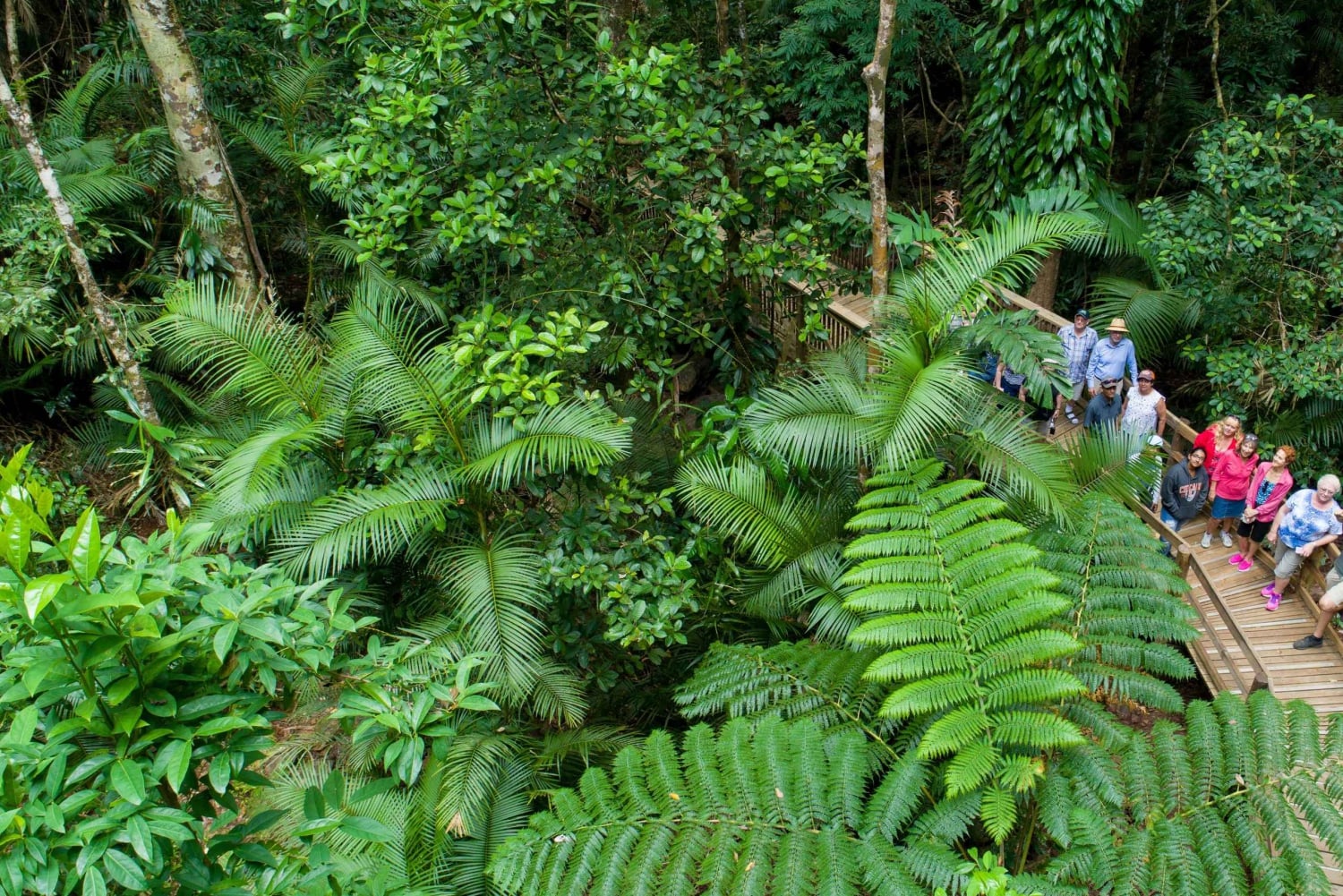 Tour di 2 giorni di Daintree e Outback da Cairns e Port Douglas